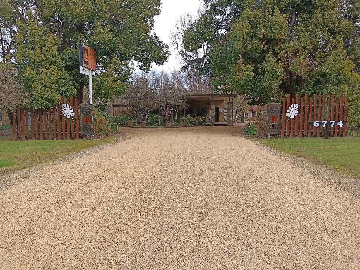 Buffalo Motel And Country Retreat Porepunkah Exteriér fotografie
