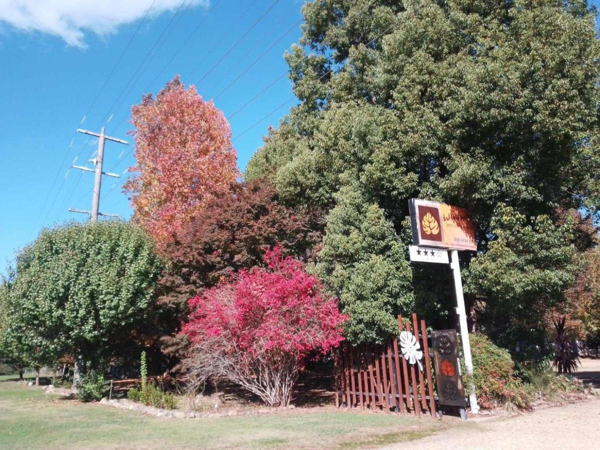 Buffalo Motel And Country Retreat Porepunkah Exteriér fotografie